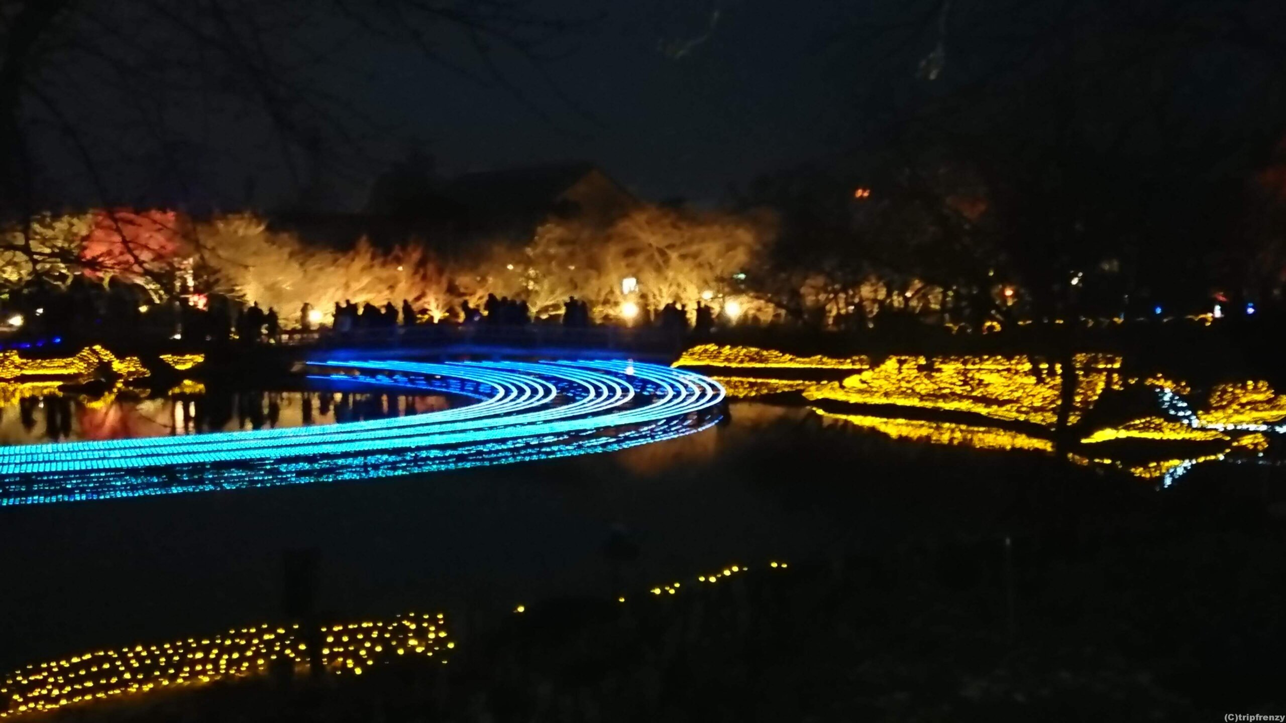 御在所岳ロープウェイ「樹氷」＆「氷ばく」となばなの里イルミネーション日帰りバスツアー　イルミネーションめぐり　【2019年2月】