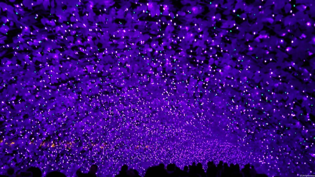 御在所岳ロープウェイ「樹氷」＆「氷ばく」となばなの里イルミネーション日帰りバスツアー　なばなの里を出発
