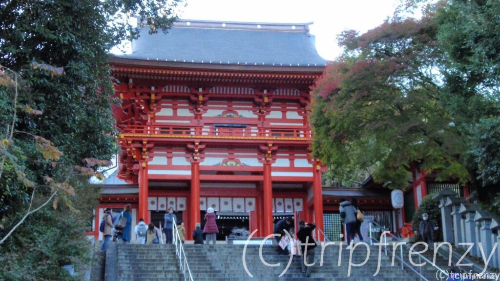 天空の絶景！びわ湖テラスへ！びわ湖大津プリンスホテルランチバイキングとミシガンクルーズ日帰りバスツアー　近江神宮へ【2018年11月】