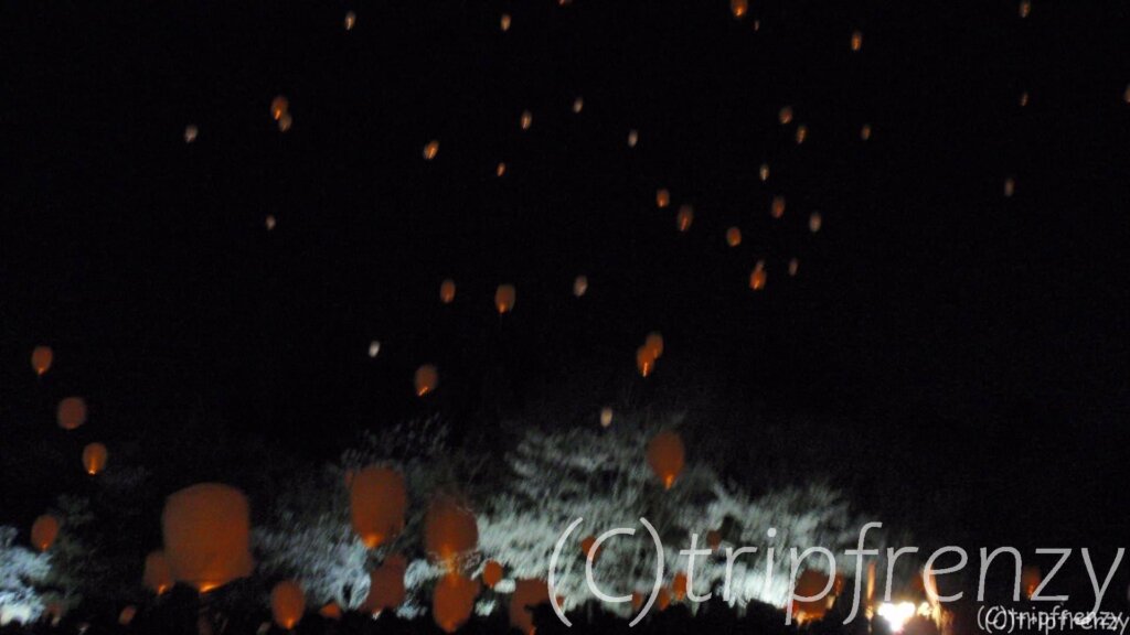 夜桜ライトアップ×夜空に舞う幻想的なランタン！ 「夜桜スカイランタンフェスティバルin越前陶芸村」スカイランタン！【2019年4月】
