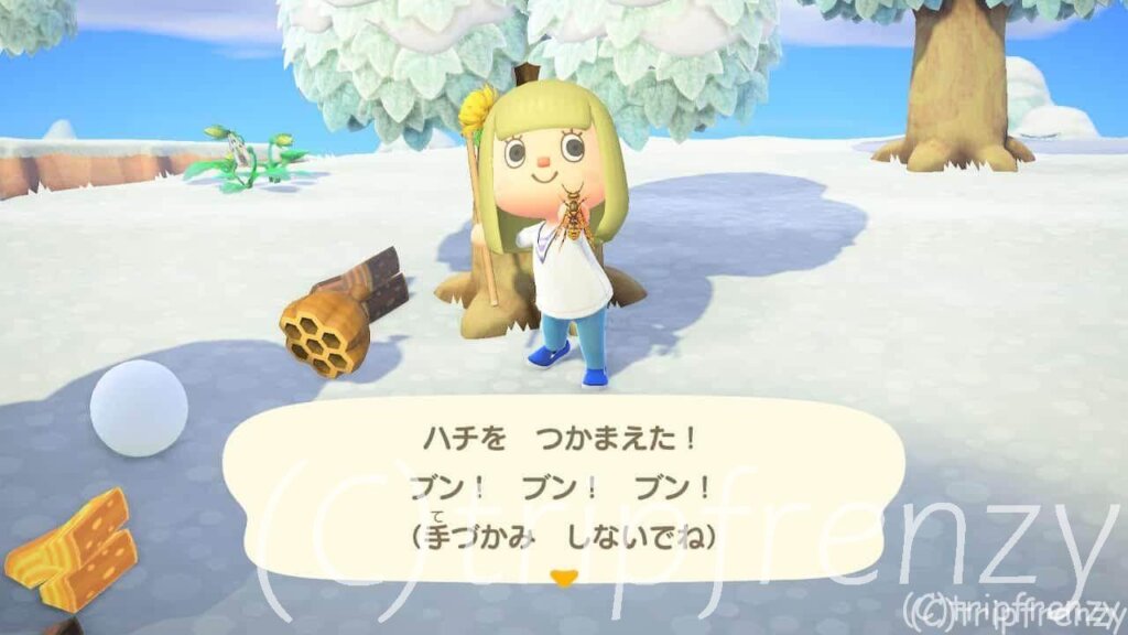 あつ森を最速でお気に入りの住民を決めるガチ勢を目指す　2日目